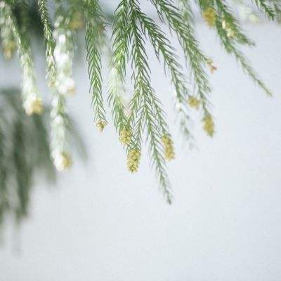 鸭脖体育app官网下载官方版