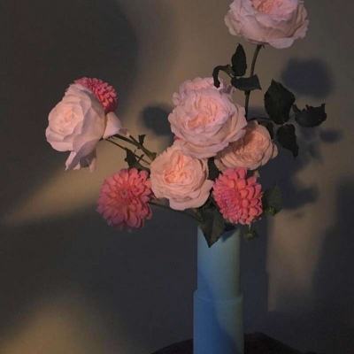 火狐电竞下载手机版